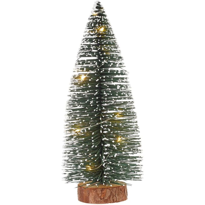 Miniatuurspar met LED verlichting, 20 cm