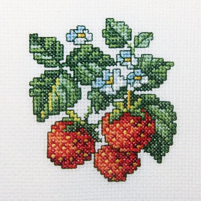 Borduurpakket - Wilde Aardbeien