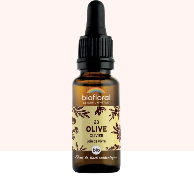 Biofloral- 23 - Olive - Olijf - Bio - Bio Demeter - 20 ml