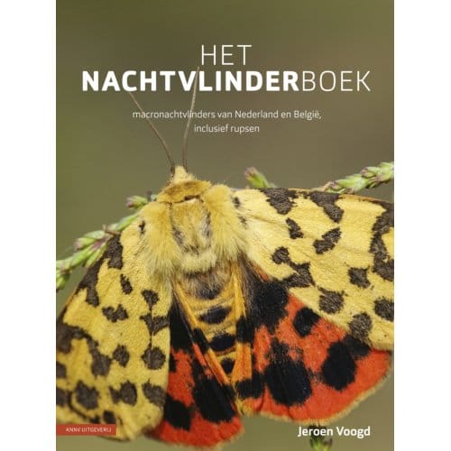 Het Nachtvlinderboek - Jeroen Voogd