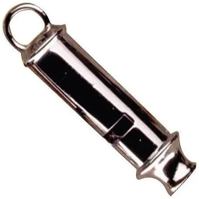 Scout fluit Elless