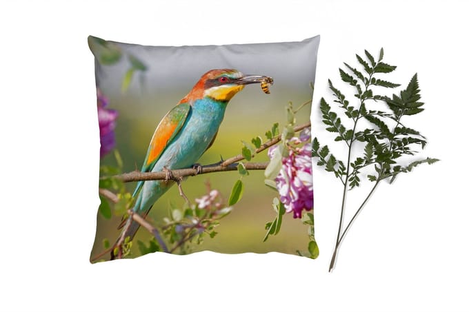 Sierkussens - Kussentjes Woonkamer - 40x40 cm - Vogel - Bijeneter - Bloemen