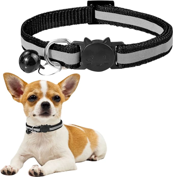 PetJet - Reflecterende Huisdierenhalsband - Bell - Verstelbaar - Sterk - Nylon