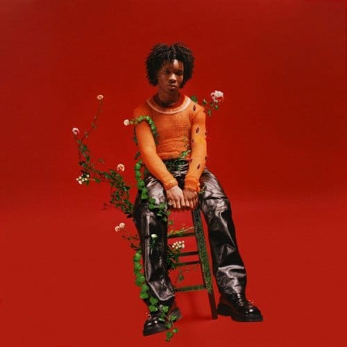 Petals To Thorns - D4vd