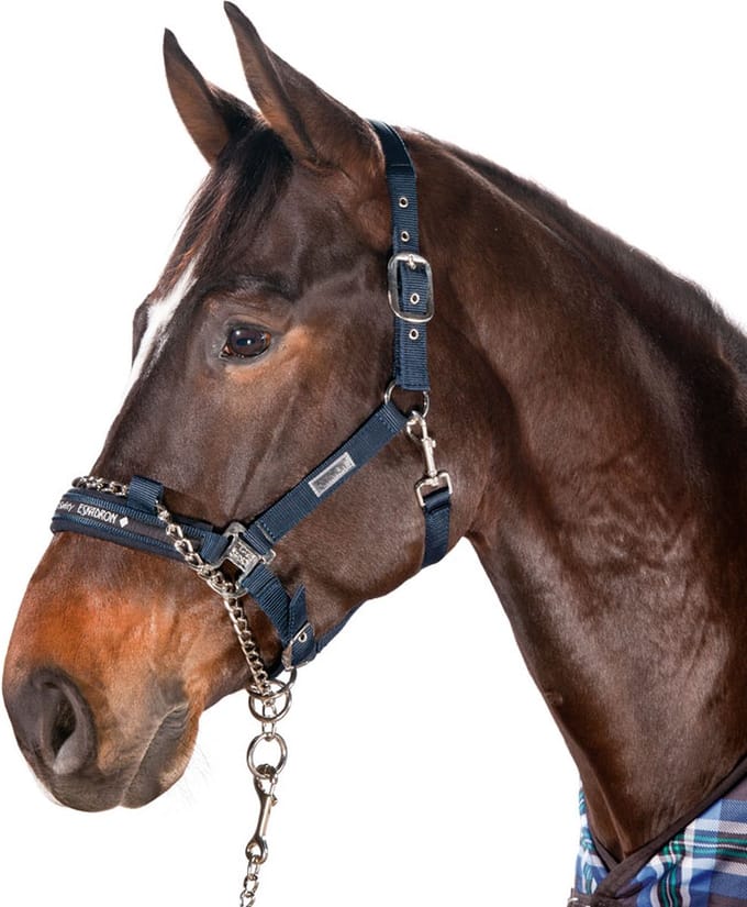 Eskadron Halster control leadchain Nightblue - Cob