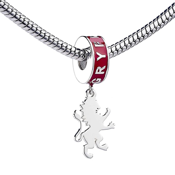 Harry Potter Sterling Silver Gryffindor House Slider Charm