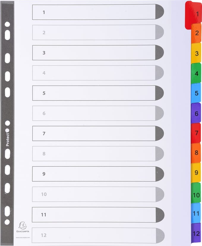 Exacompta 20x Tabbladen karton 160g - versterkte gekleurde tabs + inbdexblad - 12 tabs - A4 maxi - Wit - 4112E