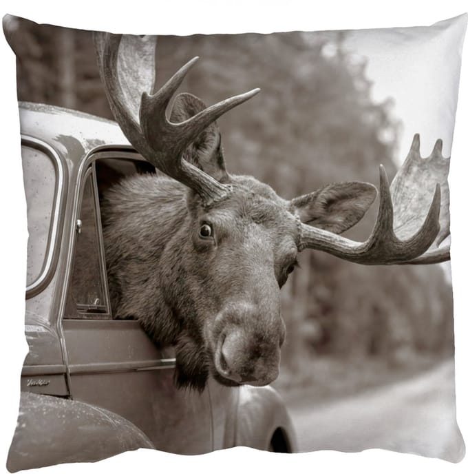 Sierkussens - Kussentjes Woonkamer - 40x40 cm - Eland - Auto - Gewei - Zwart - Wit