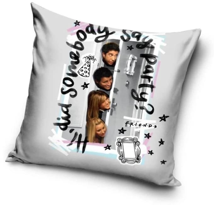 Friends Party 40x40 cm Velours Kussenhoes