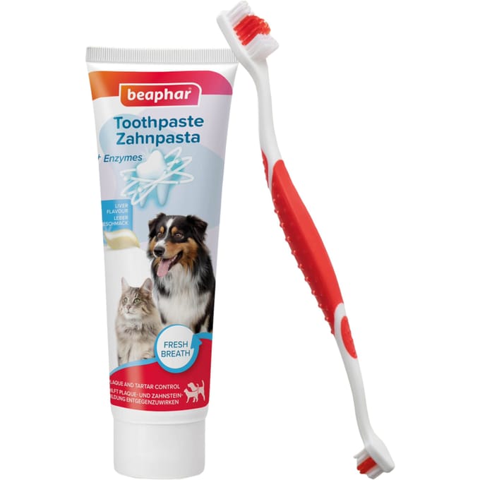 Beaphar Tandenborstelset - Zahnpasta & Bürste (100 g)