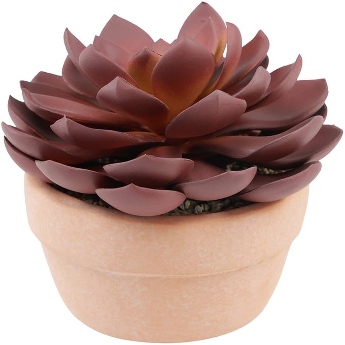 Vetplant in pot Echeveria kunst rood Ø15cm