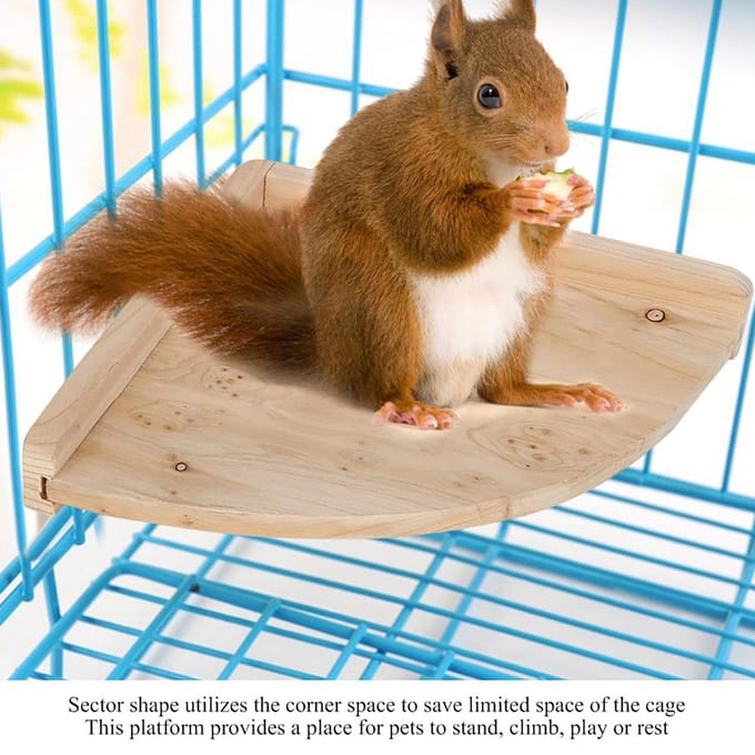 Support d'angle en bois pour cage à perroquets, hamsters, chinchillas et petits animaux white