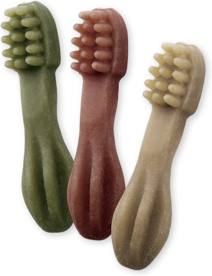 Whimzees Tandenborstel Star XS - Kauwsnacks - Hond - 6,4cm - 1st