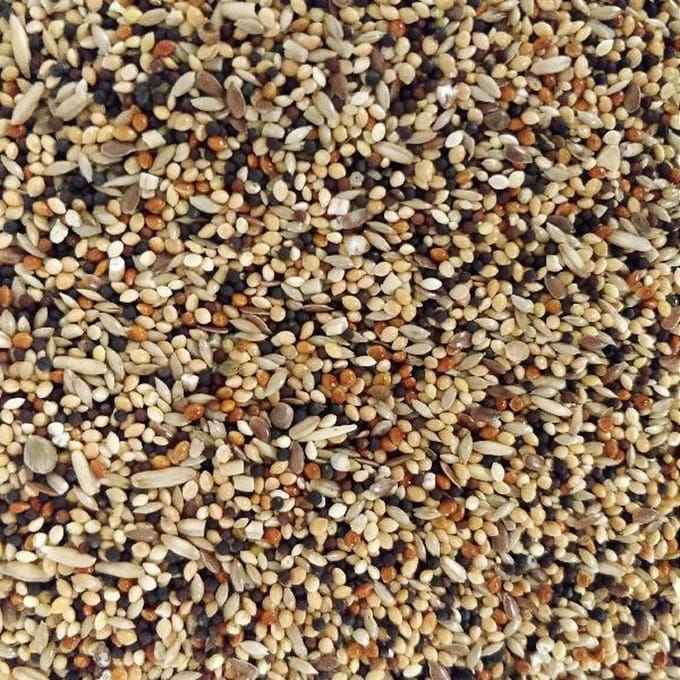 Garvo volièrezaad 5343 - 1kg