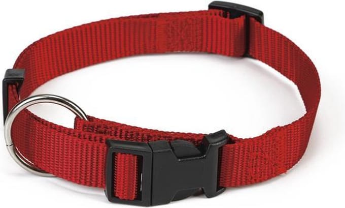Beeztees - Halsband Hond - Nylon - Rood - 40-65 cm x 25 mm