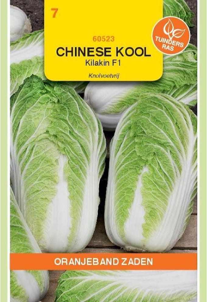 Oranjebandzaden -  Chinese kool Kilakin F1