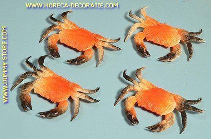 Mini krab, 4 stuks - 110x60 mm - Visdummy
