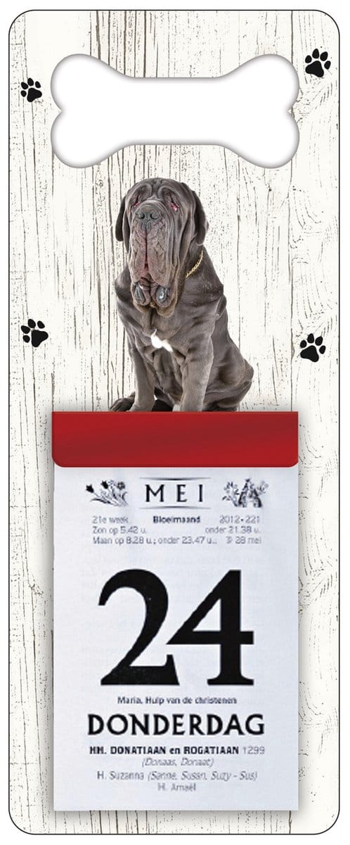 Scheurkalender 2027 Hond: Mastino Napoletano