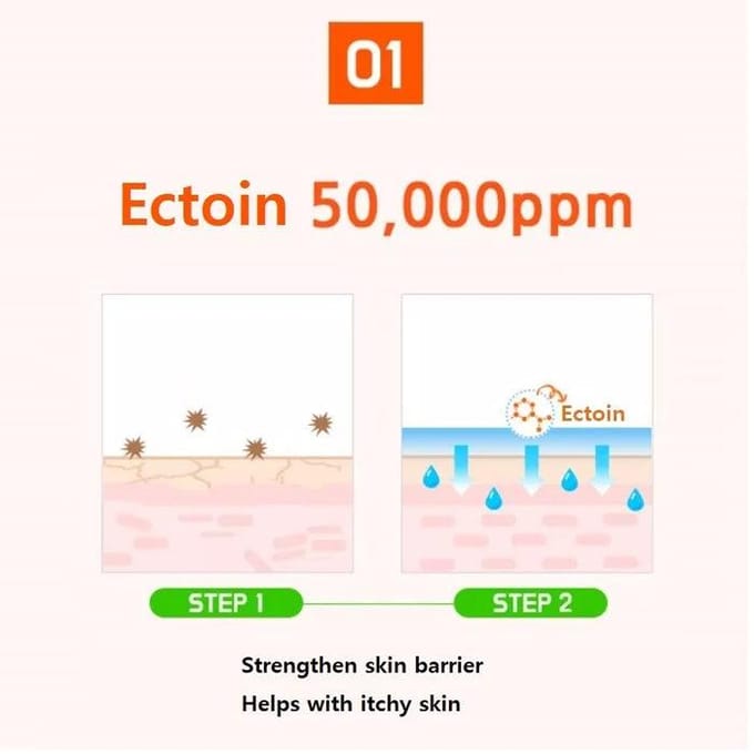 [SIDMOOL] Ectoïne Derma 5% Crème 40ml red