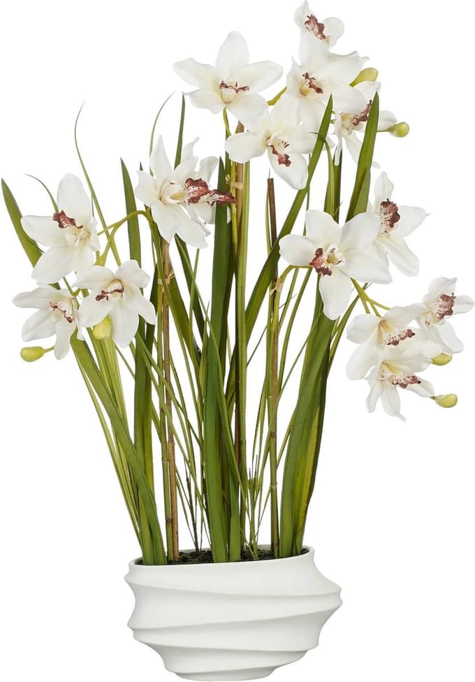 Mica Decorations Kunstplant Cymbidium - 49x40x81 cm - Polyester - Creme