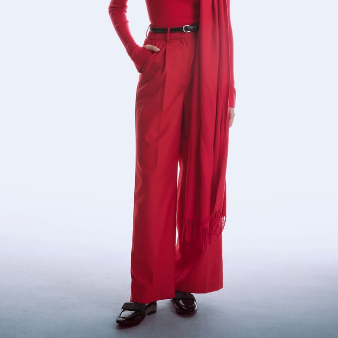 Beschikte broek met plooien