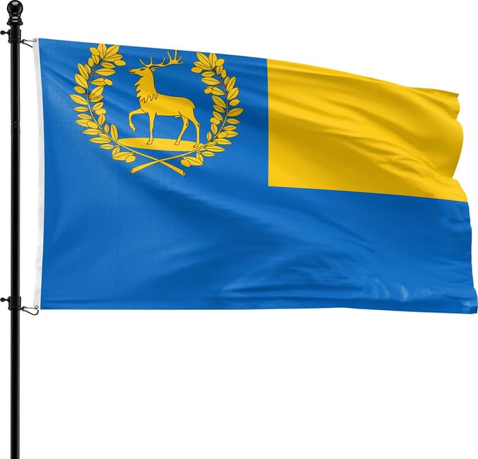 VlagDirect - Epe vlag - Gemeente Epe vlag - 90 x 150 cm.