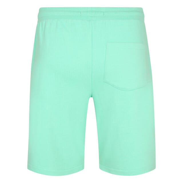 Petrol Industries Men short jogging
