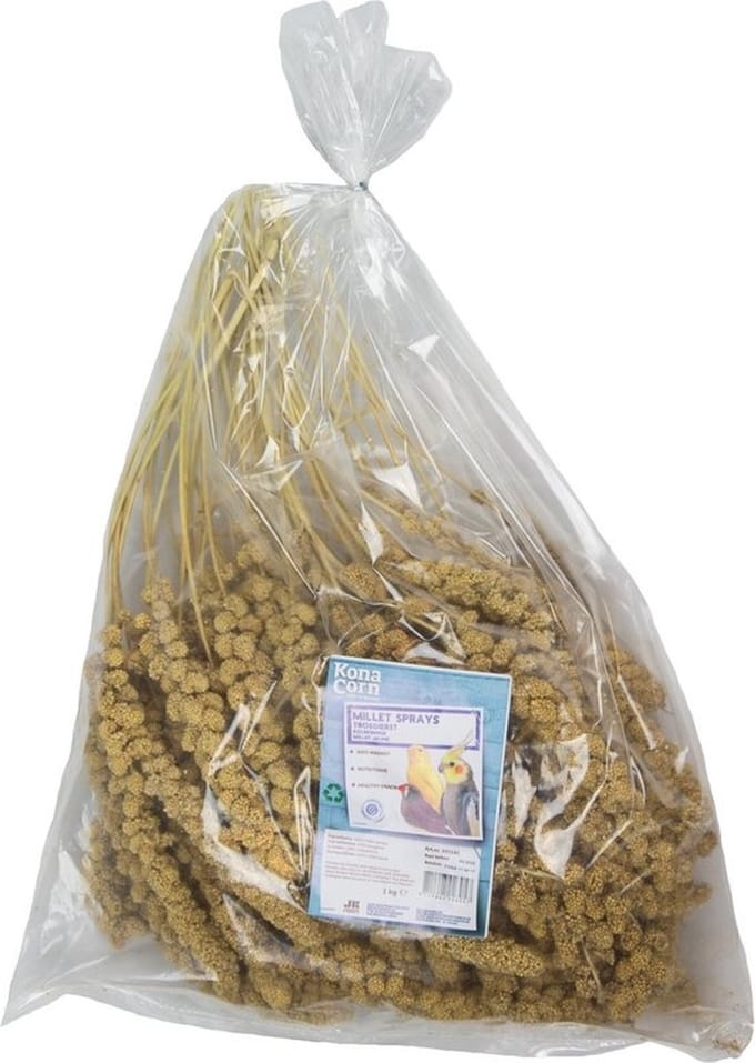 Trosgierst | 1 kg Vogelvoer