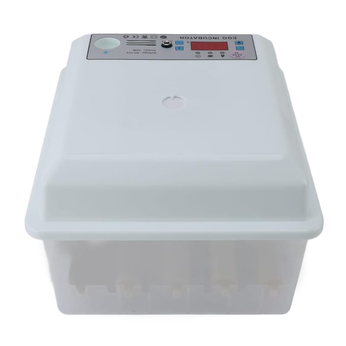 12 Eieren Incubator ABS Schuim Pluimvee Broedmachine met Automatische Temperatuur- en Vochtigheidsregeling white
