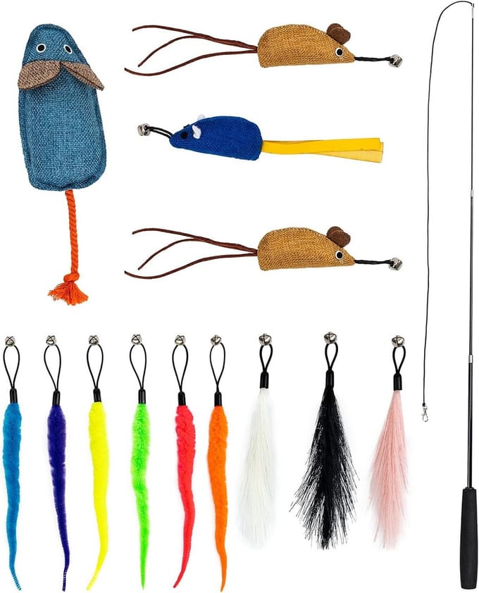 Uitgebreide Kattenspeelgoed Set met Hengel en Diverse Accessoires