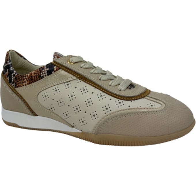 DL Sport 6947