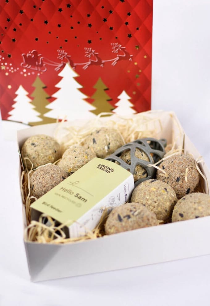Kerstcadeau vetbollen voor vogels