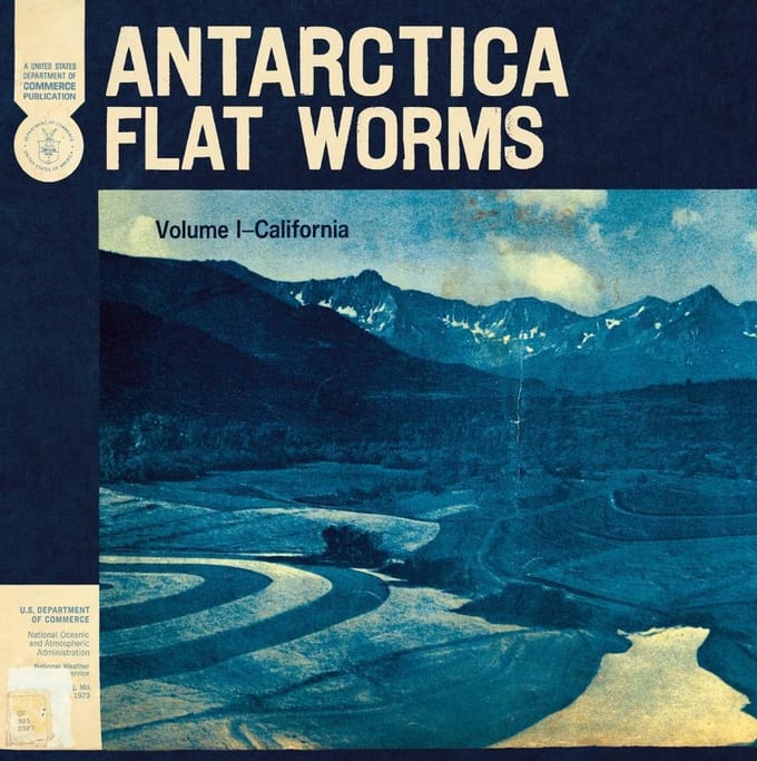 Antarctica - Flat Worms