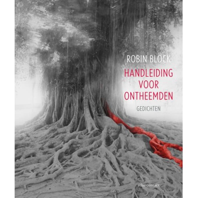 Handleiding Voor Ontheemden - Robin Block