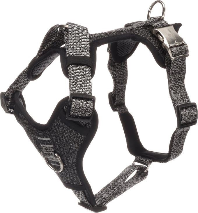 Flamingo - Hond Harnas Mago Donkergrijs M 38-61cm 45-70cm 25mm
