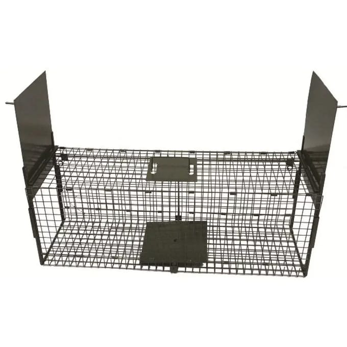 Valkuil Fuzyon Chasse