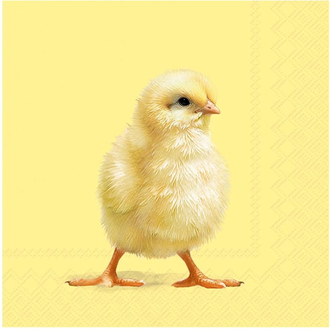 Servet "Easter Chick"