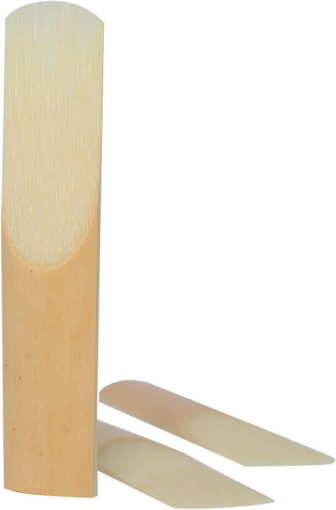 Stagg rieten Sopraansaxofoon 2