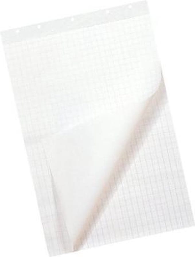 Flipoverpapier - 65 x 100 cm - Blanco Ruit - 80 gram - 50 vel