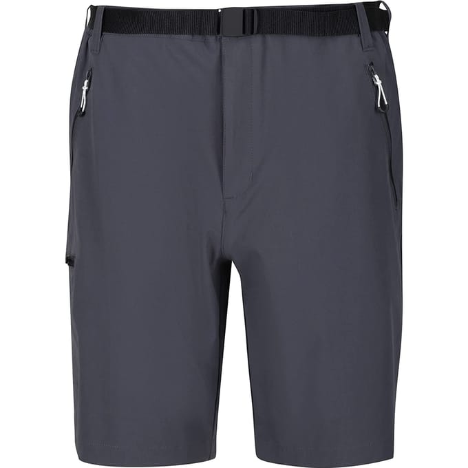Regatta Heren Xert III Stretch Shorts (Afdichting Grijs)