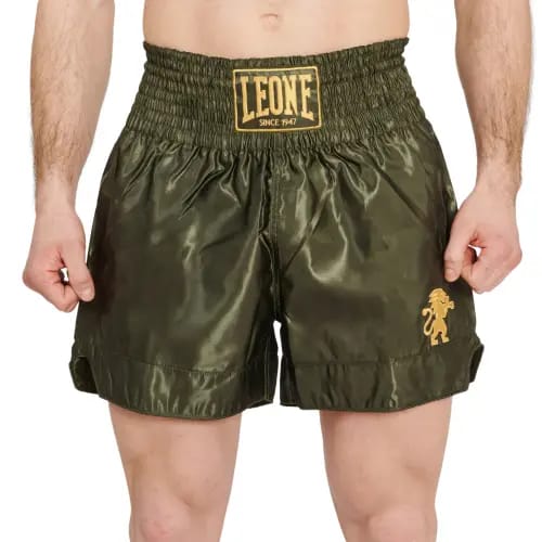 Leone1947 Basic 2 Thaiboksbroekjes Groen S Man
