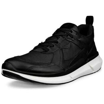 Lage Sneakers Ecco Biom 2.2 Gtx