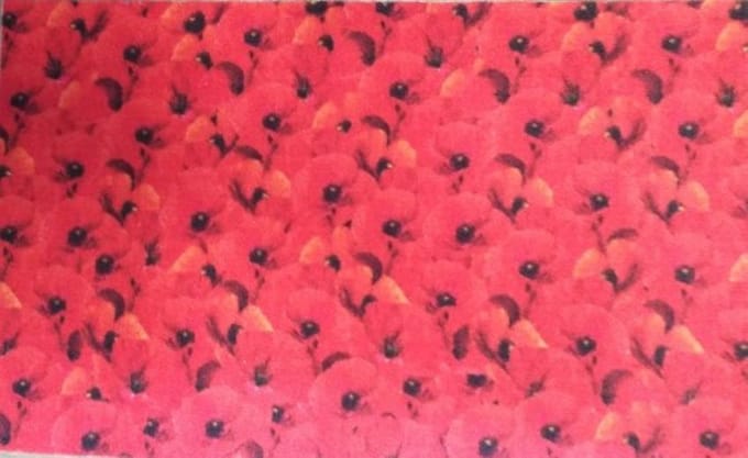FOTAPIJT - Badmat - Bedrukte deurmat - Binnen - Termo Antislip - 40x60 cm - 6mm - Wasbaar - Polyamide