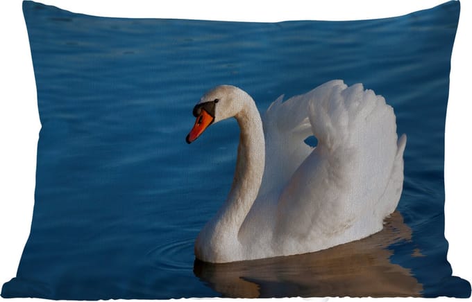 Buitenkussens - Zwaan - Water - Vogel - Wit - 60x40 cm - Weerbestendig