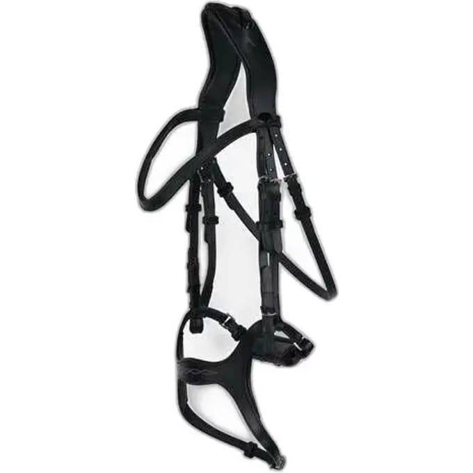 Horze Peckham Anatomisch Hoofdstel met borduursel, Black, Warmblut