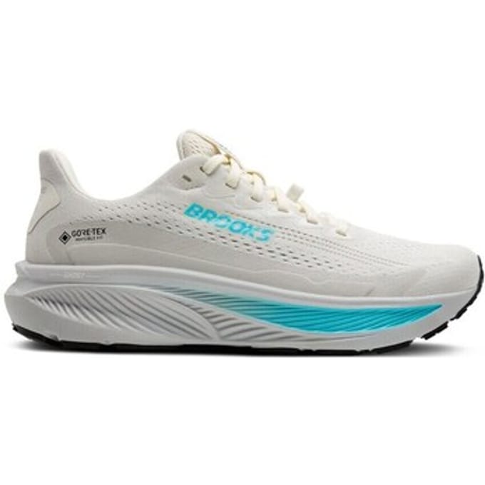 Brooks Ghost 17 GTX Hardloopschoenen Dames