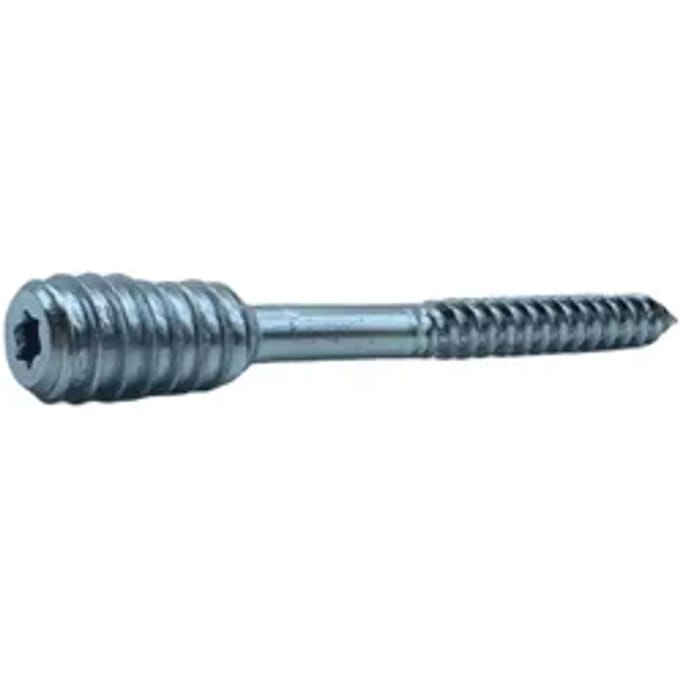 Sencys Spaanplaatschroef Staal Torx T25 - 6x80mm - 2 Stuks