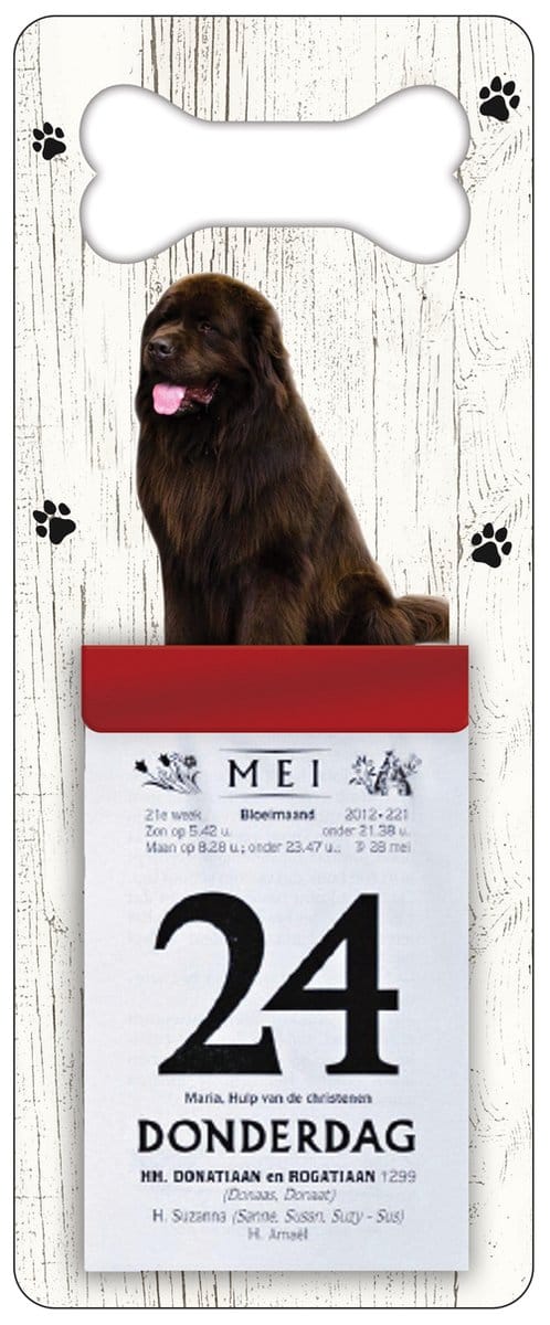 Scheurkalender 2027 Hond: Newfoundlander