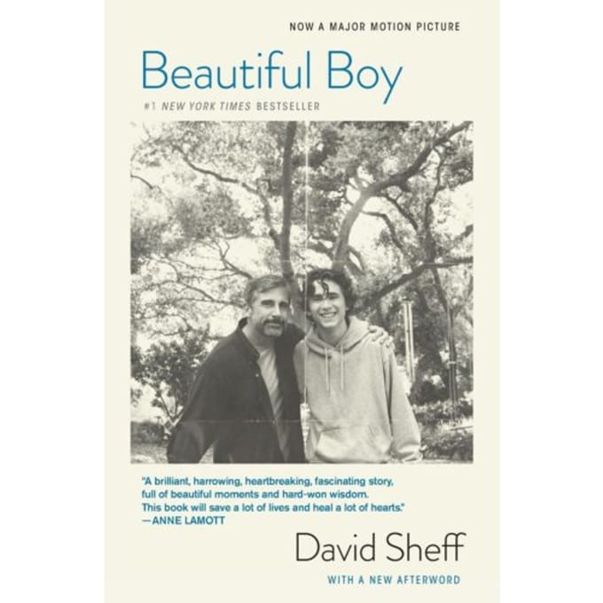 Beautiful Boy (Tie-In) - David Sheff
