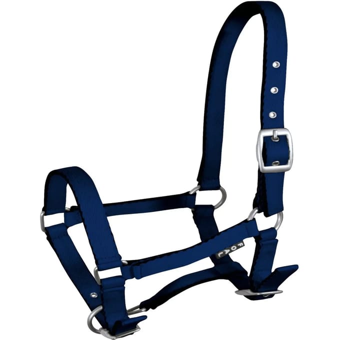 York Tobi Halster voor Veulens - Navy Blauw